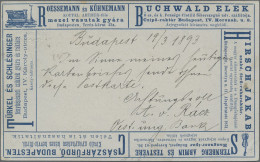 Thematics: Advertising Postal Stationery: 1892/1897, Ungarn, 2 Kr Blau Privat-An - Other