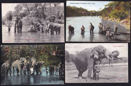 4 X OLD CARD CEYLON ** ELEPHANTS ** - Sri Lanka (Ceylon)