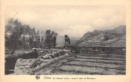 CHINE - De Steenen Leeuw Vereerd Door De Reizigers - Carte Postale Ancienne - China