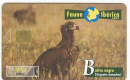 Spain Fauna Ibérica, BUITRE NEGRO, Used Chip Phone Card # B-092 - Other & Unclassified