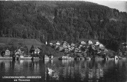 LÄNGENSCHACHEN - OBERHOFEN ► Ein Kleines Dorf Am Thunersee Anno 1960 - Oberhofen Am Thunersee