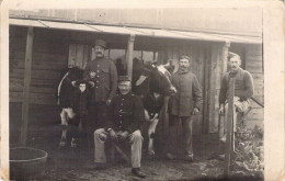 MILITARIA - Photographie D'un Groupe De Militaires Dans Une Ferme - Vaches - Carte Postale Ancienne - Andere & Zonder Classificatie