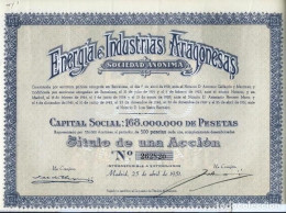 ACCION DE ENERGIA E INDUSTRIAS ARAGONESAS, S.A. (E.I.A.S.A.) - Elektriciteit En Gas