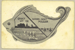 Noordoostpolder *** Landelijk Gezicht - Oud - Slechte Kwaliteit - Other & Unclassified