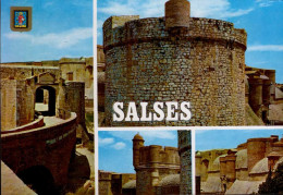 SALSES     ( PYRENEES ORIENTALES )     LE CHATEAU-FORT - Salses