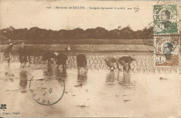 ENVIRONS DE SAIGON (VIETNAM) - CONGAIS REPIQUANT LE PADDY - ED. CRESPIN REF #150 - 1922 - Asia