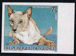 Thème Chats - Guinée - Non Dentelé - Neuf ** Sans Charnière - TB - Domestic Cats