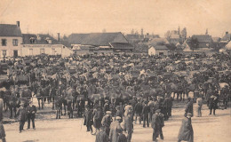 Grandes Foires De BAUGY (Cher) - Chevaux, Moutons Race Berrichonne - Publicité Au Verso (voir Les 2 Scans) - Baugy