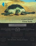 258/ Oman; P109. Green Turtle, 41OMNA - Oman