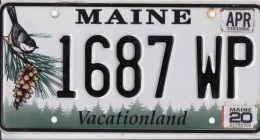 Plaque D' Immatriculation USA - State Maine, USA License Plate - State Maine, 30,5 X 15 Cm, Fine Condition - Number Plates