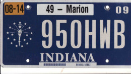 Plaque D' Immatriculation USA - State Indiana, USA License Plate - State Indiana, 30,5 X 15 Cm, Fine Condition - Nummerplaten