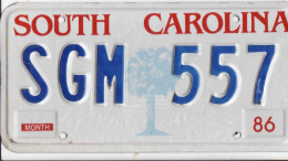 Plaque D' Immatriculation USA- State South Carolina, USA License Plate- State South Carolina,30,5 X 15cm, Fine Condition - Number Plates