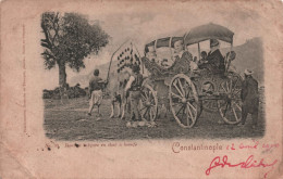 TURQUIE - Femmes Turques En Char A Boeufs - Constantinople - Carte Postale Ancienne - Turquie