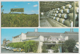 SOUTH AUSTRALIA SA Penfolds Wineries NURIOOTPA & KALIMNA Murfet BD628 Postcard C1970s - Sonstige & Ohne Zuordnung