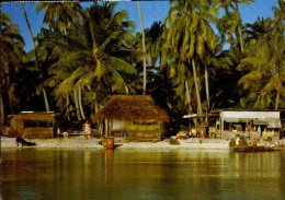 RANGIROA . HABITATION CLASSIQUE DES  ATOLLS - Polynésie Française