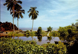 PAGE-ANJOUAN  Aux Environs De  ( COMORES ) - Comoren