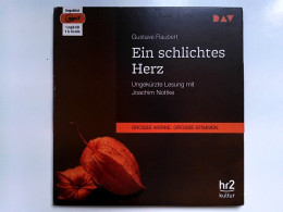 Ein Schlichtes Herz: Ungekürzte Lesung Mit Joachim Nottke (1 Mp3-CD) - CDs