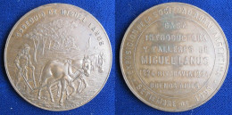 Argentine Médaille Exposition 1895 Buenos Aire, Michel Lanus, Par J. Domogo  - Altri & Non Classificati