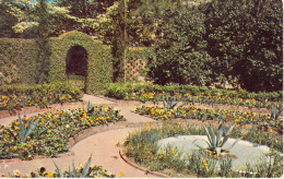 ETATS-UNIS - FLORIDA - The Garden Is One Of The Outstanding Attractions At Killearn Gardens - Carte Postale Ancienne - Autres & Non Classés