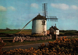 CPM - ERDEVEN - Narbon Le Moulin à Vent - Edition YR.Caoudal - Erdeven