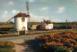 CPM - ERDEVEN - Le Moulin à Vent - Edition Jos Le Doaré - Erdeven