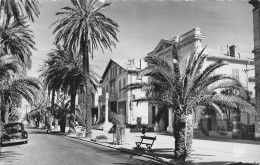 Hyeres  - Avenue De Belgique - Automobiles    - CPSM °R - Hyeres