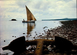 DZAOUDZI    ( COMORES )     LA COTE A MAREE BASSE - Comoren