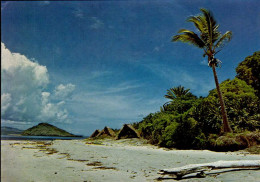 PLAGE DE OUENEFFOU . MOHELI . ( COMORES ) - Comoros