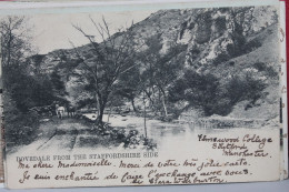 DOVEDALE  -           -              1903 - Sonstige & Ohne Zuordnung