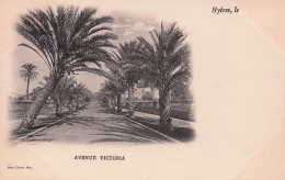 Hyeres  - Avenue Victoria  - CPA °J - Hyeres