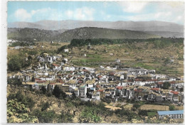 D 83. SALERNES. VUE GENERALE - Salernes