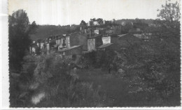 D 83. SALERNES. LES RIVES DE LA BRESQUE ET LE VIEUX CHATEAU - Salernes