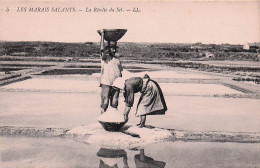 Hyeres  - Salins D'Hyeres - La Recolte Du Sel    -  CPA °J - Hyeres