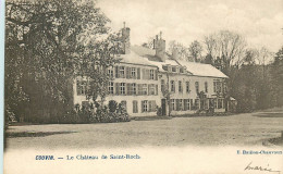 BELGIQUE  COUVIN   Le Chateau De Saint Roch - Couvin