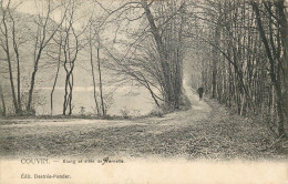 BELGIQUE  COUVIN  Etang Et Allée De Pernelle - Couvin