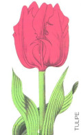 Germany:Used Phonecard, T, 12 DEM, Flower, Tulip, 1998 - P & PD-Series: Schalterkarten Der Dt. Telekom