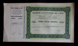 Action - Société Cotonnière De L'Est à Vincey (Vosges) - Document Neuf - Landbouw