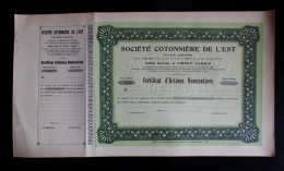 Action - Société Cotonnière De L'Est à Vincey (Vosges) - Document Neuf - Landbouw