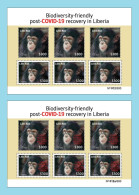 LIBERIA 2023 SHEET 6V (REGULAR & OVERPRINT) PANDEMIC COVID-19 MONKEY MONKEYS APE APES CHIMPANZEE CHIMPANZE MNH - Chimpancés