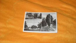 CARTE POSTALE ANCIENNE CIRCULEE DE 1959../ MUNSTER LAGER LUNEBURGER HEIDE..KASERNE, ALTE WACHOLDER..CACHET + TIMBRE - Munster