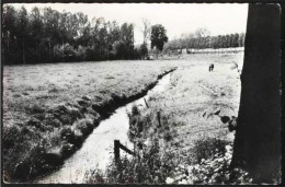 NETHEN - Parc Du Château Savenel-la Néthen - Edition : Maison Bourguignon à Néthen - Graven