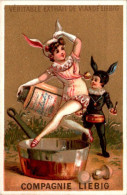 Chromo Liebig Série Française N°73 Images De Genre N°11 - B) La Petite Fille Dans Le Costume Saute La Casserole Avec.... - Liebig