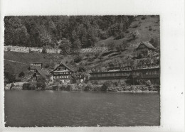 Gersau (Suisse, Schwyz) : Jugendferienheim U. J.H. Rotschuo En 1950 GF. - Gersau