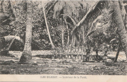 ILES GILBERT  Intérieur De La Forêt - Kiribati