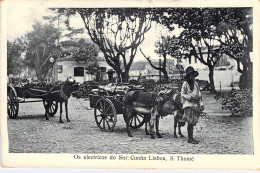 Portugal - Os Electricos Do Snr Cunha Lisboa S. Thomé - Attelage D'âne - Robert Barbier - Carte Postale Ancienne - Santarem