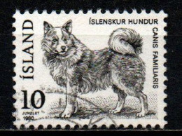 ISLANDA - 1980 - FAUNA DEL NORD - CANE ISLANDESE - USATO - Gebraucht