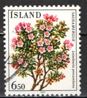 ISLANDA - 1984 - FLORA LOCALE: LOISELEURIA PROCUMBES - USATO - Gebruikt