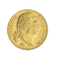 Louis XVIII-20 Francs 1816 Paris - 20 Francs (oro)