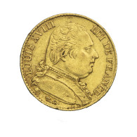 Louis XVIII-20 Francs 1815 Perpignan - 20 Francs (gold)