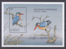 1997 Antigua And Barbuda 2529/B365 Birds 6,00 € - Pics & Grimpeurs